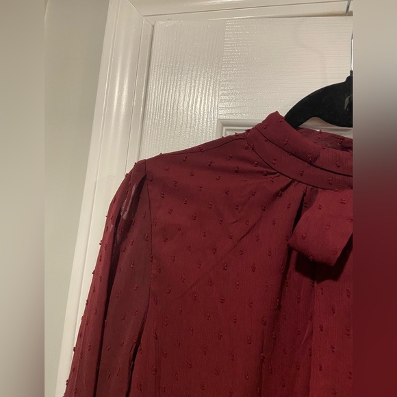 NWT Aconiya Size S Burgundy Swiss Dot Chiffon Lined High Neck Bow Lined Top - Picture 5 of 11